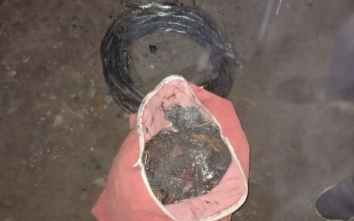 В Мариуполе задержали мужчину с полной сумкой свежесрезанного кабеля