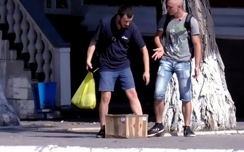 Социальный эксперимент в Мариуполе: жители пожаловались в полицию на насилие над котятами (ВИДЕО)