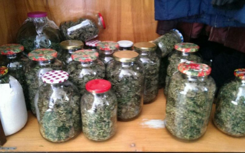 Полицейские изъяли у мариупольца 10-киллограмовую партию конопли (ФОТО)