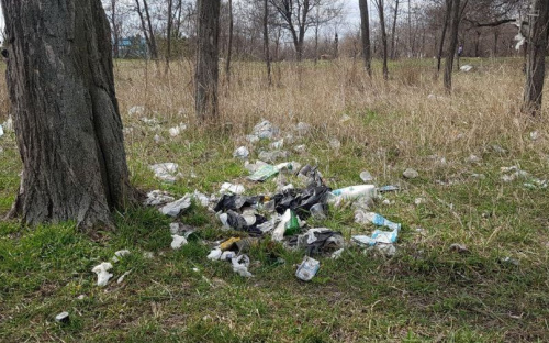 #Trashtag: Мариупольский парк ДО и ПОСЛЕ всемирного челленджа (ФОТО)