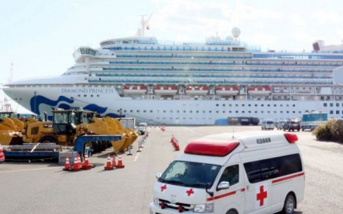 Украинку с лайнера Diamond Princess вылечили от коронавируса