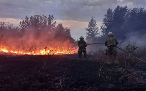 На Донетчине в огне погибли пять человек