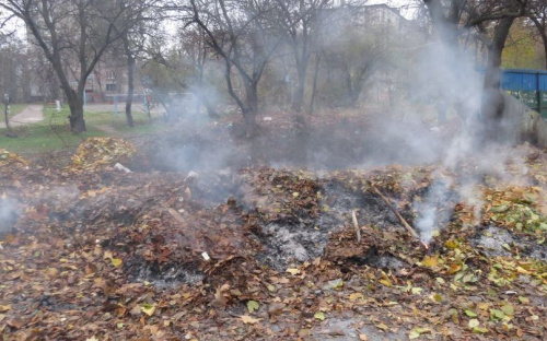 Мариупольцы сжигают листья в центре города, «играя в прятки» (ФОТО+ВИДЕО)