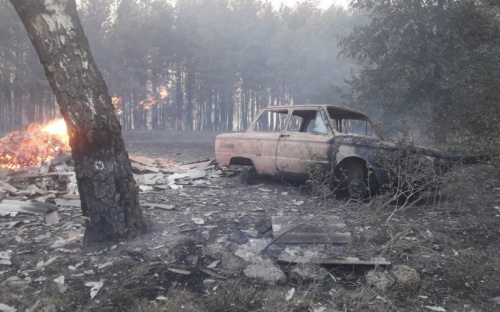 Уничтожено село, есть пострадавшие: пожары в Украине тушат третьи сутки