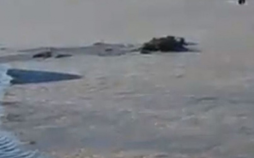 В сети появилось видео спасения человека, провалившегося под лед на Донетчине (ФОТО+ВИДЕО)