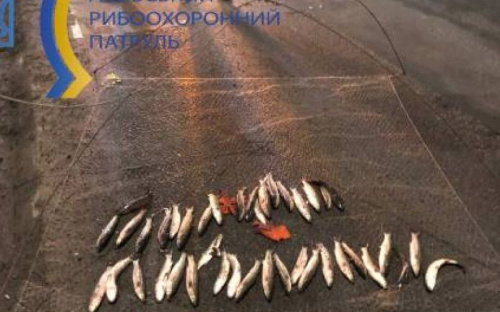 В Мариуполе браконьер «нарыбачил» почти на 76 тысяч гривен