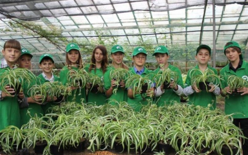 Ландшафтный дизайнер, блогер, флорист: мариупольские школьники выбирают профессию (ФОТО)