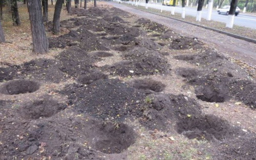 «Лунный» пейзаж в Мариуполе преобразился, зазеленев (ФОТОФАКТ)