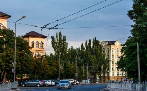 В Мариуполе на деревьях появятся пломбы с индивидуальными номерами