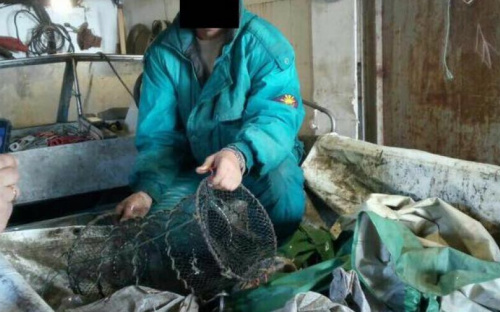 На побережье Мариуполя поймали браконьеров с уловом на 137 тыс. грн.
