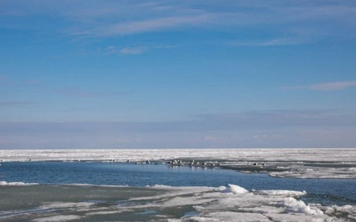 В Мариуполе на лед вышло более 700 человек, один провалился