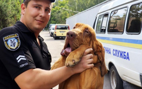 Служебные собаки помогли полицейским Донетчины с начала года раскрыть около 300 преступлений