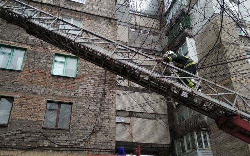 В Мариуполе котенок несколько дней просидел на дереве (ФОТО)