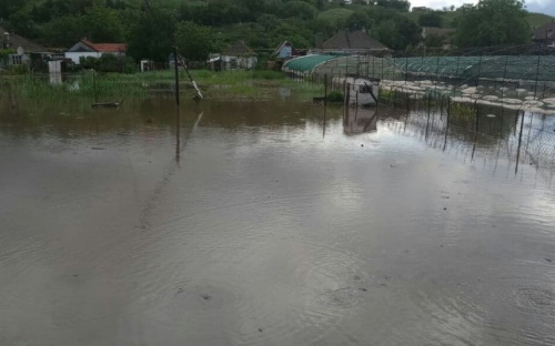 Ночной потоп в Мариуполе: затопленные дома, залитые подъезды, поваленные деревья (ФОТОРЕПОРТАЖ)