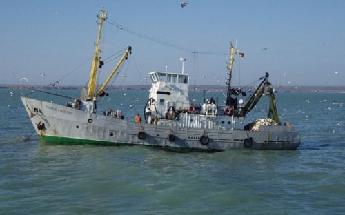 Рыбный дерибан: как Украина и Россия делят Азовское море (ВИДЕО)