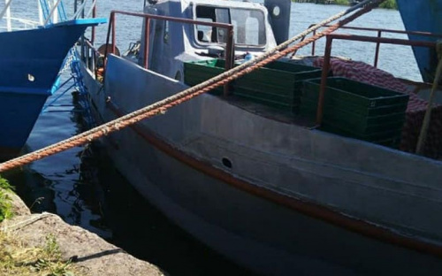 В Азовском море браконьеры наловили бычка на 600 тысяч гривен