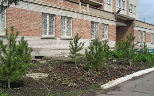 Мангушская районная больница будет передана на баланс громады, - Степан Махсма