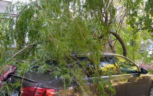 ДТП и падение дерева: в Мариуполе пострадали 5 автомобилей (ФОТО)