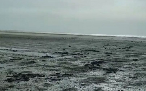 Море далеко отошло от мариупольского берега, оголив песчаное дно