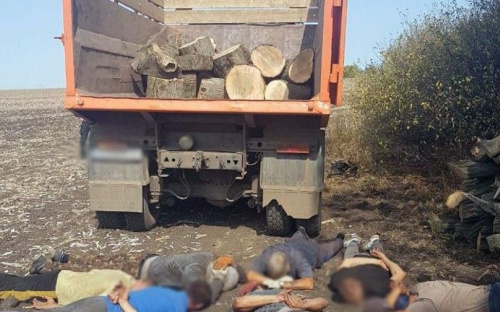 На Донетчине «черные лесорубы» нарубили на четыре миллиона гривен