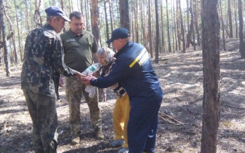 Заблудшая пенсионерка провела в лесу Донетчины сутки (ФОТО)
