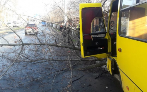 В Мариуполе маршрутка столкнулась с авто и врезалась в дерево. Есть пострадавшие (ФОТО+ВИДЕО)