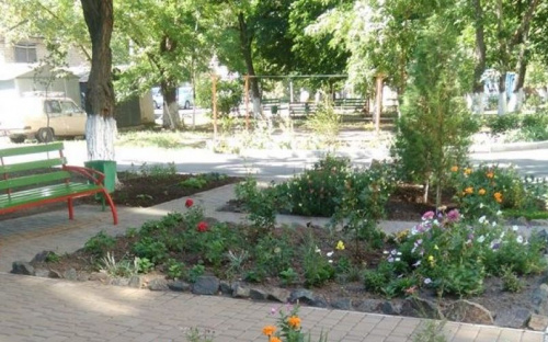 За полгода в Мариуполе вывезли 300 тонн мусора и высадили 750 деревьев (ФОТО)