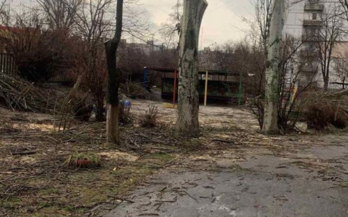 Почему спилили и обрезали деревья на территории детсада в Мариуполе?