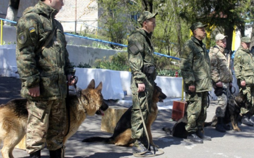 Полицейские собаки из пяти областей прибыли на подкрепление в Мариуполь (ФОТО)