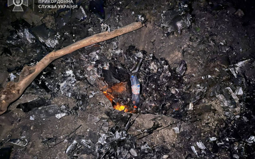 Прикордонники показали, якими безпілотниками окупанти атакували Одеську область (ФОТО)