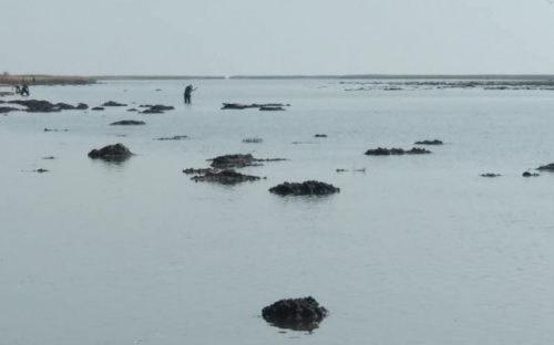 В Левобережном районе Мариуполя море вернулось в привычные берега