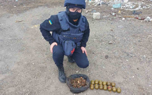 Опасная находка. В поселок под Мариуполем вызвали пиротехников