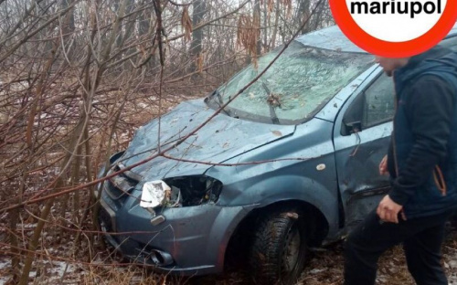 На трассе под Мариуполем автомобиль снес дерево