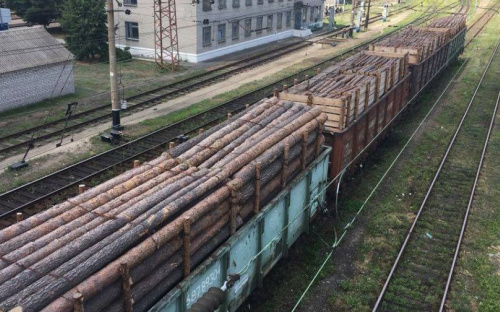 В Донецк пытались вывезти 40 вагонов древесины на 1 млн грн. (ФОТО)