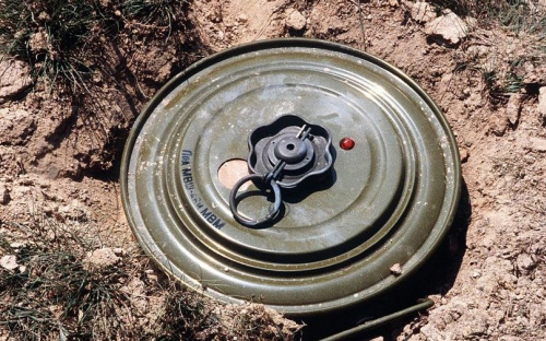 Неудачная находка: мариуполец обнаружил возле своего сарая мину и гранату