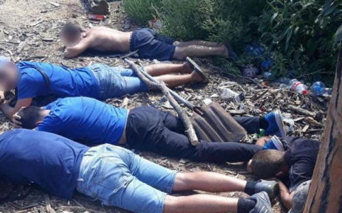 В Мариуполе разоблачили незаконный бизнес по вырубке деревьев (ФОТО)
