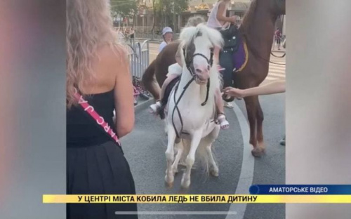 В Мариуполе катание на пони обернулось для ребенка ушибами и испугом
