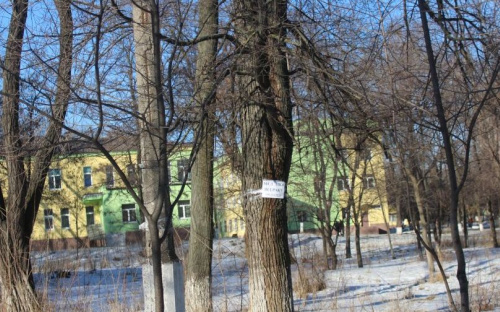 Лекарство от рака «продают на деревьях» мариупольского больничного комплекса (ФОТО)