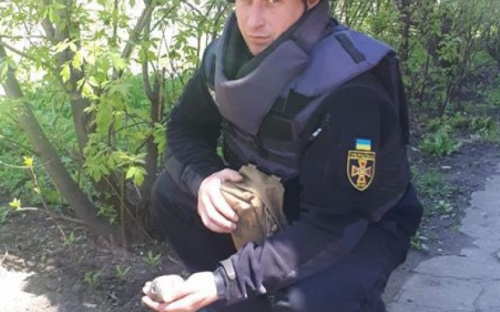 В Мариуполе за день до выборов нашли гранату (ФОТО)