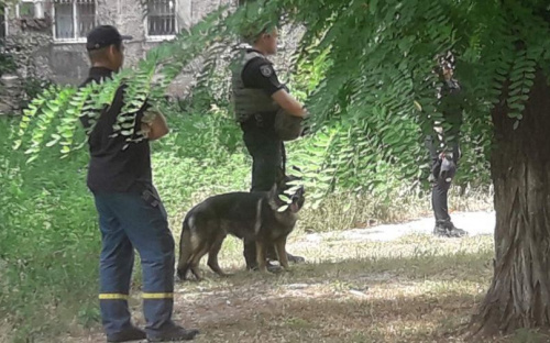 В районе Академии полиции в Мариуполе нашли «гранату»
