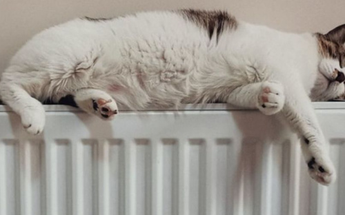 Почему котельные Мариуполя работают не на полную мощность, и куда обращаться при отсутствии тепла?