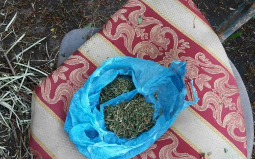Спецоперация полиции. В Мариуполе ликвидировали две наркоплантации (ФОТО)