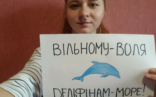 Мариупольцы могут защитить вымирающих дельфинов одним постом