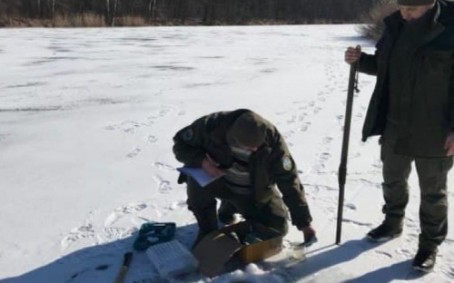 Рыба в водоемах Донетчины могла погибнуть зимой из-за недостатка кислорода