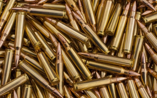 Полицейские изъяли у мариупольца почти 120 патронов