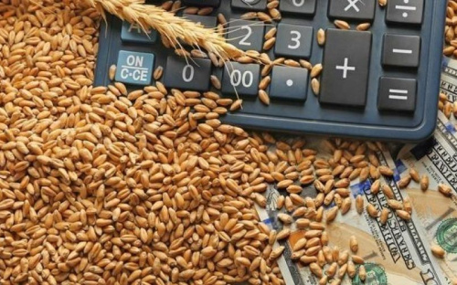 На Донетчине незаконно экспортировали сельхозпродукцию на 22 миллиона гривен
