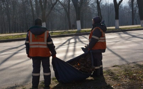 В Мариуполе ежедневно вывозят 25 тонн листвы (ФОТО)