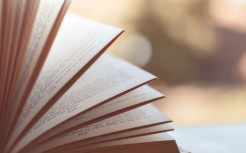 Мариупольских книгогурманов ждет трехдневный фестиваль