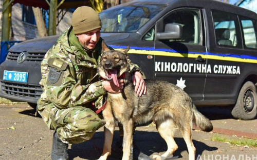 На Донетчине собаки помогли раскрыть свыше 430 преступлений с начала года