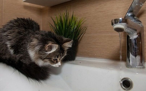 Во всех районах Мариуполя отключат электричество и воду